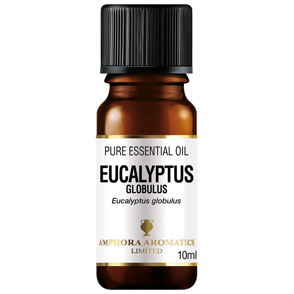 Eucalyptus Essentia Oil