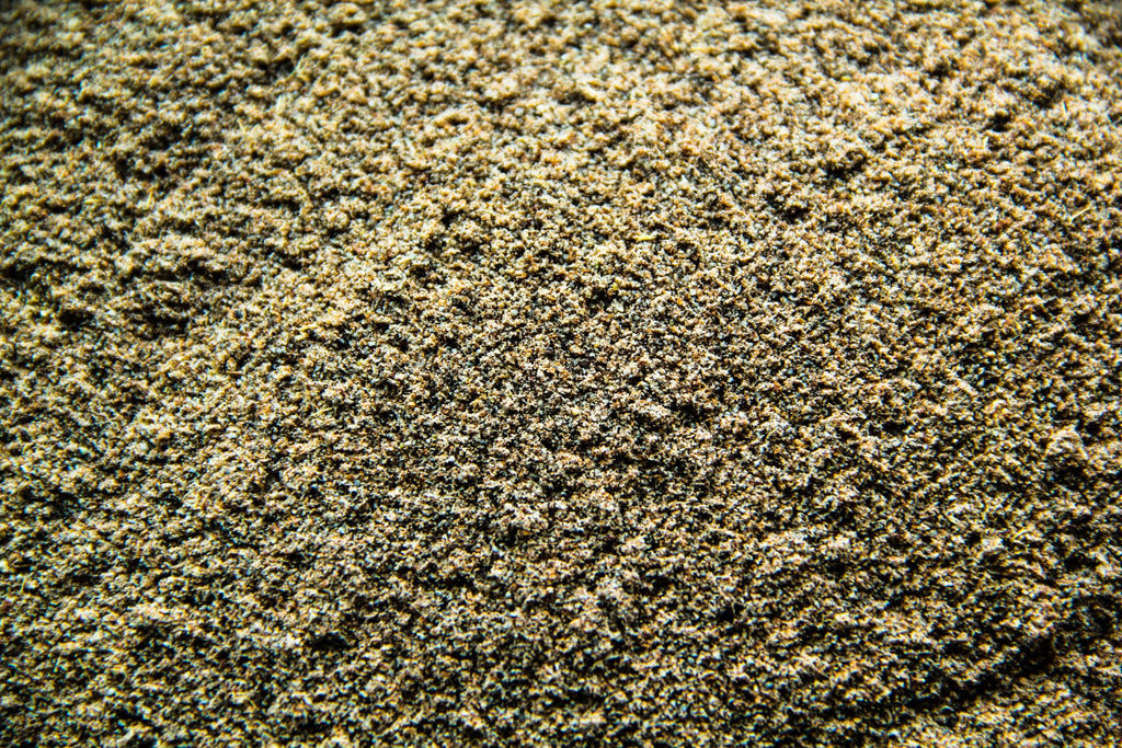 Cardamon Seed Powder