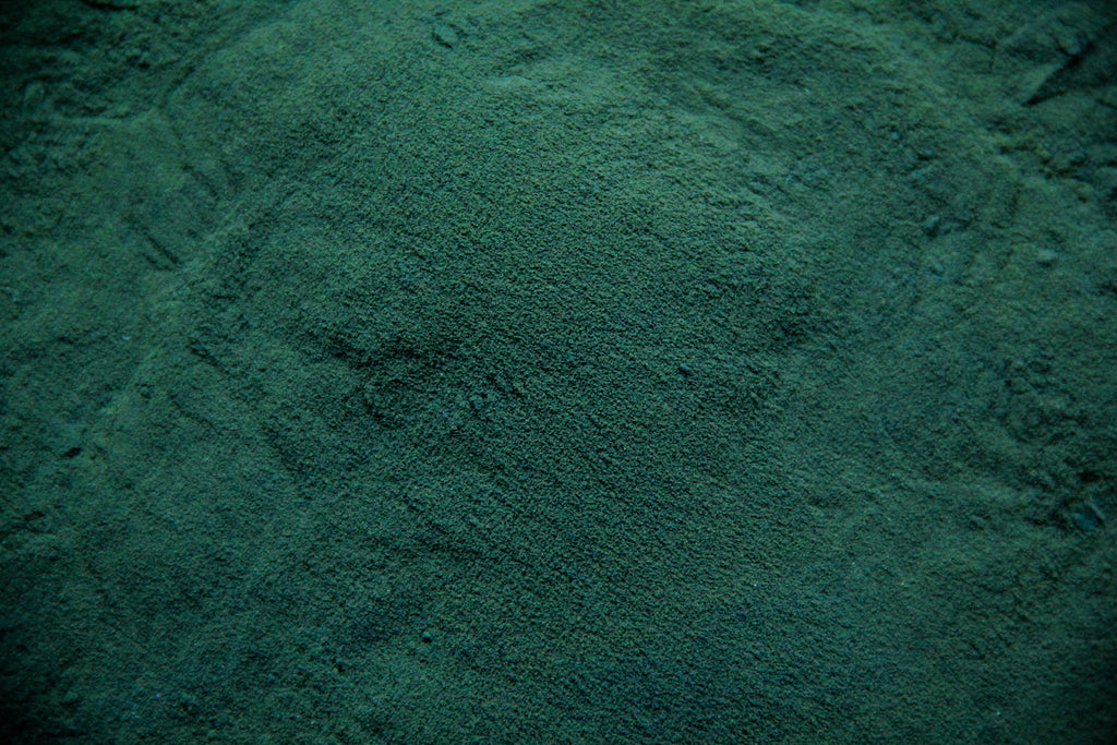 Chlorella Powder (Organic)
