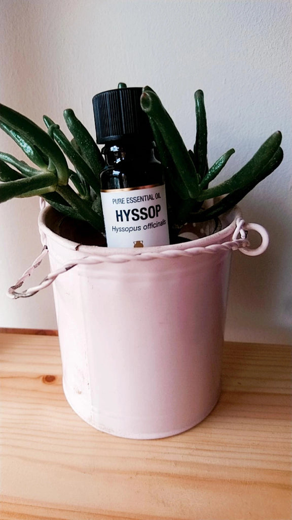 Hyssop - Essential Oil