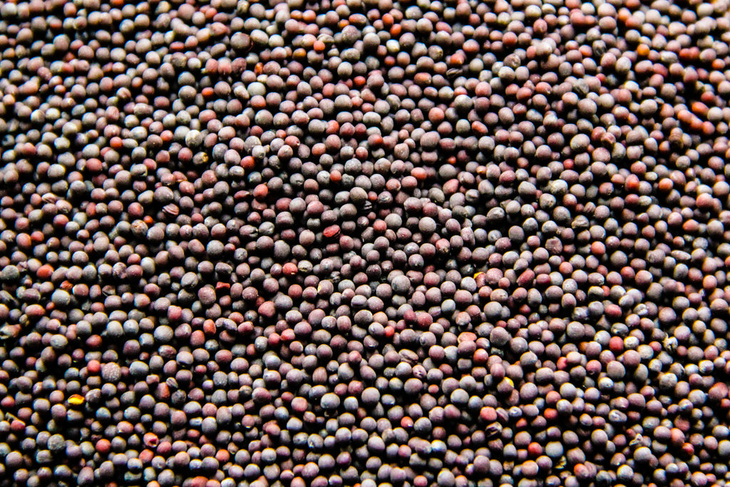 Mustard (Brown) Seeds